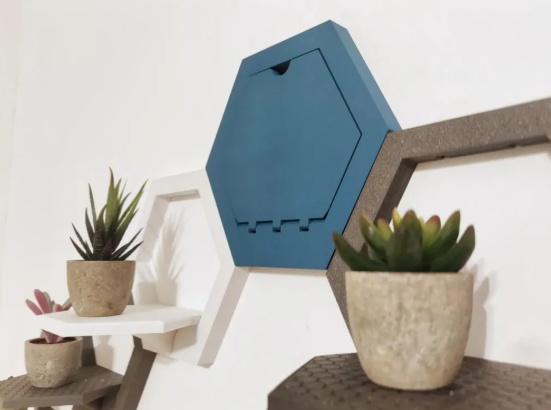 Etagère murale HexaBloom